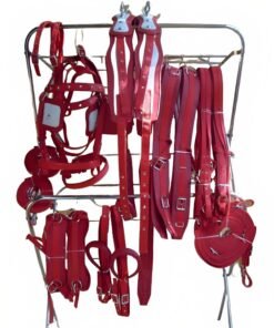 Magical Red Driving Harness for Double Horse Cart – Enchanted Quality